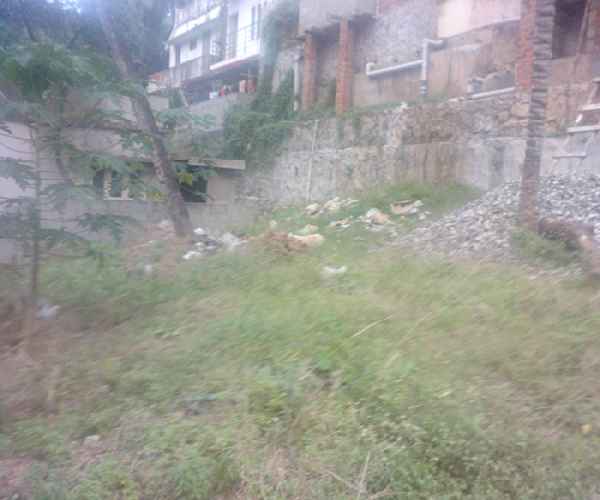 Photo 4
